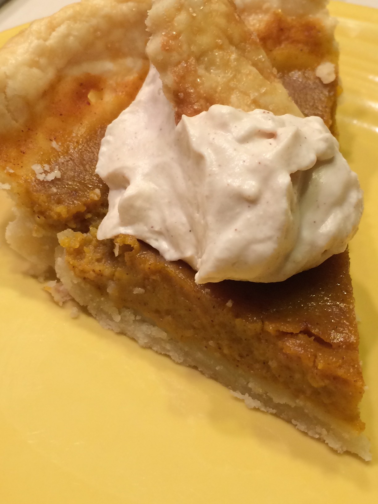 Gluten Free Dairy Free Pie Crust recipe